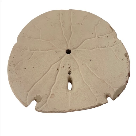 Mickey Mouse painted on a Sand Dollar. Unique collectible. - Picture 2 of 2